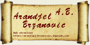 Aranđel Brzanović vizit kartica